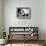 Paulette Goddard (b/w photo)-null-Framed Photo displayed on a wall