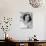 Paulette Goddard-null-Photographic Print displayed on a wall