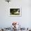 Pauley Island IV-Alan Hausenflock-Framed Photographic Print displayed on a wall