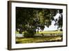 Pauley Island IV-Alan Hausenflock-Framed Photographic Print