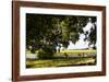 Pauley Island IV-Alan Hausenflock-Framed Photographic Print