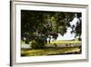 Pauley Island IV-Alan Hausenflock-Framed Photographic Print