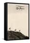 Paulhan in a Farman Biplane Makes a Record Altitude of 4,165 Feet, Los Angeles, 1910-null-Framed Stretched Canvas