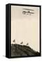 Paulhan in a Farman Biplane Makes a Record Altitude of 4,165 Feet, Los Angeles, 1910-null-Framed Stretched Canvas