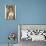 Paulina Rubio-null-Photo displayed on a wall