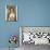 Paulina Rubio-null-Mounted Photo displayed on a wall