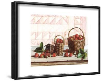 Z Is For Zinnias ART PRINT Poster 32x21 PAULINE CAMPANELLI