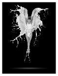 Flour Wings-Pauline Pentony Ba-Stretched Canvas