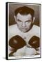 Paulino Uzcudun, Spanish Boxer, 1938-null-Framed Stretched Canvas