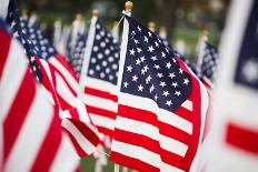 American Flags-PaulMaguire-Photographic Print