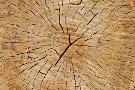 Just the Print