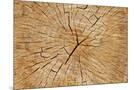 Wood Mount