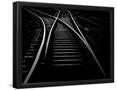 Essential Black
