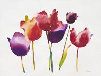 Rainbow Tulips 1-Paulo Romero-Art Print
