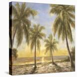 Caribbean Waters-Paulsen-Laminated Art Print