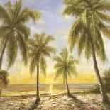 Caribbean Waters-Paulsen-Stretched Canvas