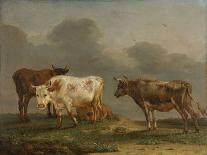 Four Cows in a Meadow-Paulus Potter-Art Print