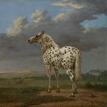 The "Piebald" Horse, c.1650-4-Paulus Potter-Giclee Print