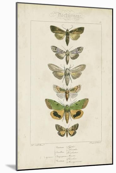 Pauquet Butterflies III-Pauquet-Mounted Art Print