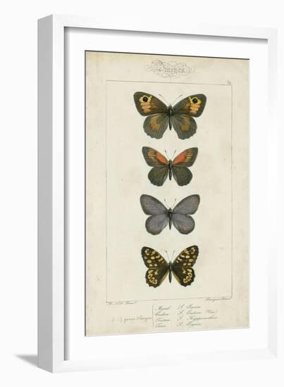 Pauquet Butterflies V-Pauquet-Framed Art Print