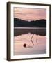 Pause and Reflect-Mikael Svensson-Framed Giclee Print