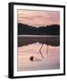 Pause and Reflect-Mikael Svensson-Framed Giclee Print