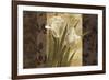 Pavane-Keith Mallett-Framed Giclee Print