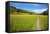 Paved Footpath across Buttercup Meadows at Muker-Mark Sunderland-Framed Stretched Canvas