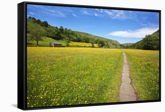 Paved Footpath across Buttercup Meadows at Muker-Mark Sunderland-Framed Stretched Canvas