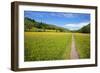 Paved Footpath across Buttercup Meadows at Muker-Mark Sunderland-Framed Photographic Print