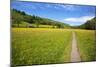 Paved Footpath across Buttercup Meadows at Muker-Mark Sunderland-Mounted Photographic Print