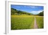 Paved Footpath across Buttercup Meadows at Muker-Mark Sunderland-Framed Photographic Print