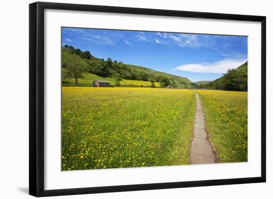 Paved Footpath across Buttercup Meadows at Muker-Mark Sunderland-Framed Photographic Print