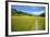 Paved Footpath across Buttercup Meadows at Muker-Mark Sunderland-Framed Photographic Print