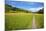 Paved Footpath across Buttercup Meadows at Muker-Mark Sunderland-Mounted Photographic Print