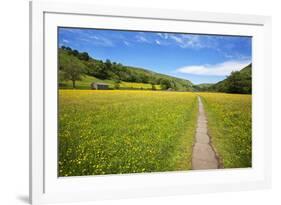 Paved Footpath across Buttercup Meadows at Muker-Mark Sunderland-Framed Photographic Print