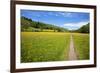 Paved Footpath across Buttercup Meadows at Muker-Mark Sunderland-Framed Photographic Print