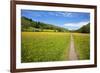 Paved Footpath across Buttercup Meadows at Muker-Mark Sunderland-Framed Photographic Print