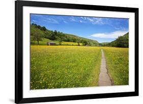 Paved Footpath across Buttercup Meadows at Muker-Mark Sunderland-Framed Photographic Print