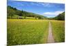 Paved Footpath across Buttercup Meadows at Muker-Mark Sunderland-Mounted Photographic Print