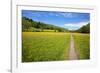 Paved Footpath across Buttercup Meadows at Muker-Mark Sunderland-Framed Photographic Print