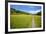 Paved Footpath across Buttercup Meadows at Muker-Mark Sunderland-Framed Photographic Print