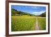 Paved Footpath across Buttercup Meadows at Muker-Mark Sunderland-Framed Photographic Print