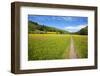 Paved Footpath across Buttercup Meadows at Muker-Mark Sunderland-Framed Photographic Print