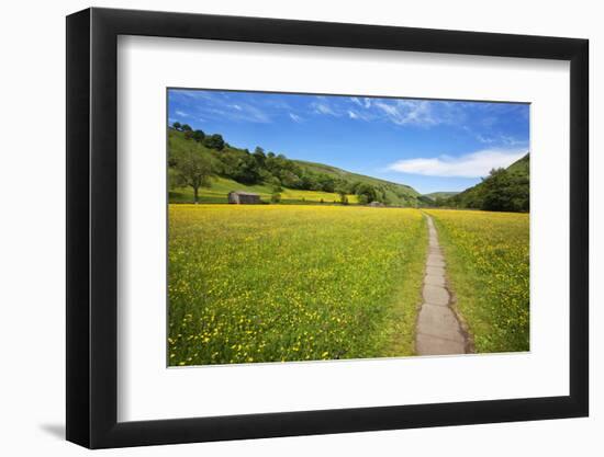 Paved Footpath across Buttercup Meadows at Muker-Mark Sunderland-Framed Photographic Print