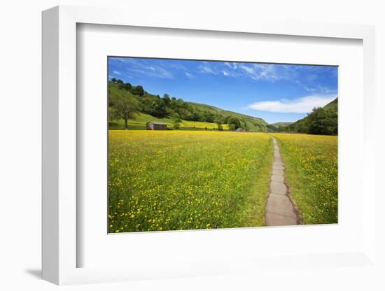 Paved Footpath across Buttercup Meadows at Muker-Mark Sunderland-Framed Photographic Print