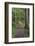 Paved pathway through forest, Columbia River Gorge, Oregon-Adam Jones-Framed Photographic Print