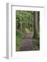 Paved pathway through forest, Columbia River Gorge, Oregon-Adam Jones-Framed Photographic Print