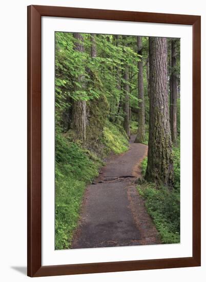 Paved pathway through forest, Columbia River Gorge, Oregon-Adam Jones-Framed Photographic Print