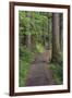 Paved pathway through forest, Columbia River Gorge, Oregon-Adam Jones-Framed Photographic Print